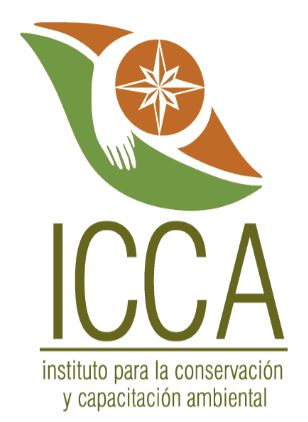 ICCA logo